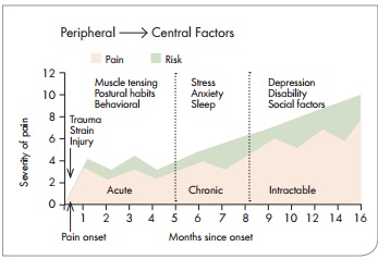 Figure 4 Multiple contributing factors